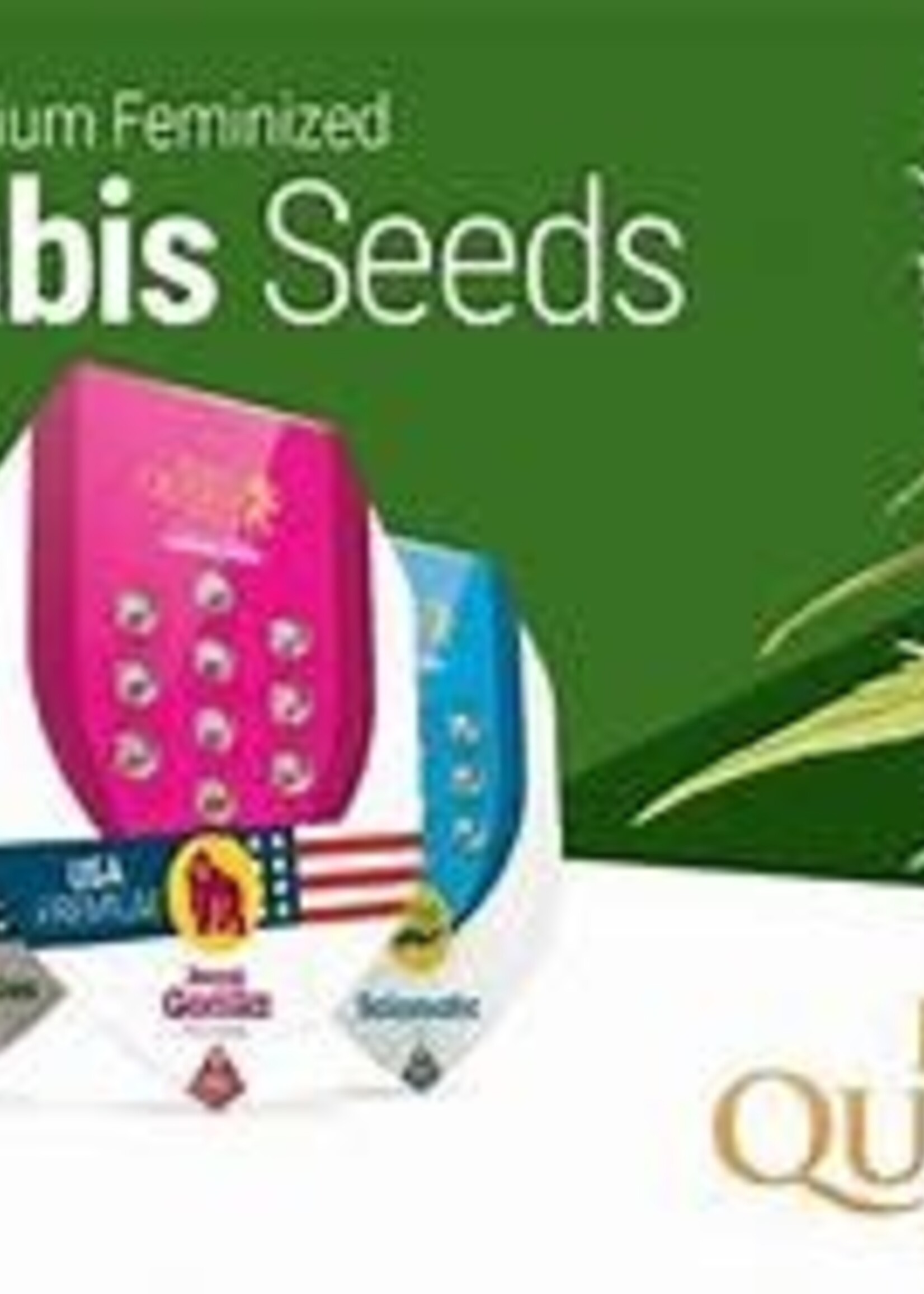 Royal Queen Seeds Royal Queen Seeds 3pk Autoflowering Trainwreck Automatic