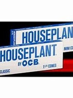 OCB OCB Houseplant Classic Cones 6pk 1 1/4