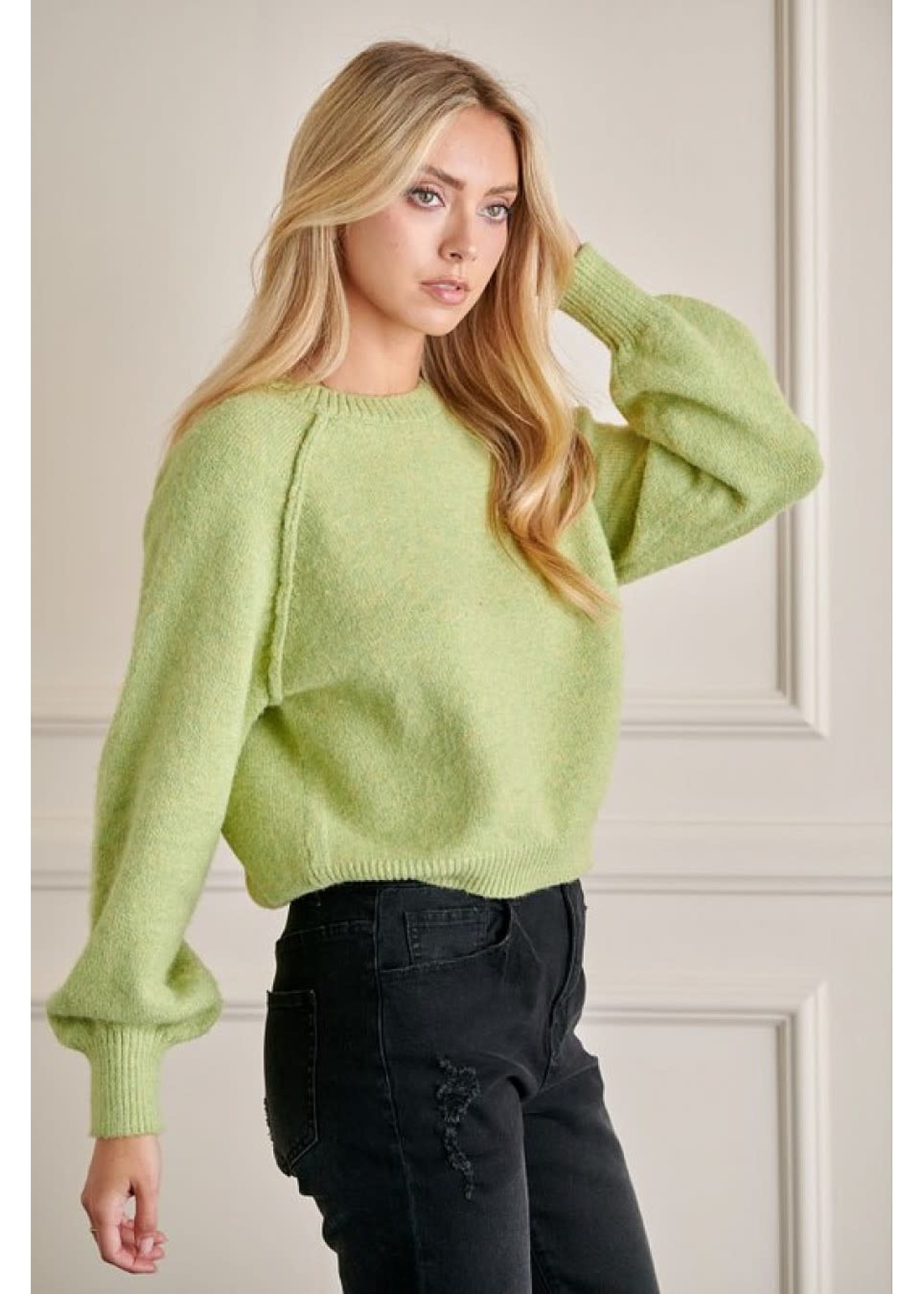 GeeGee Plus Size Reverse Stitch Sweater