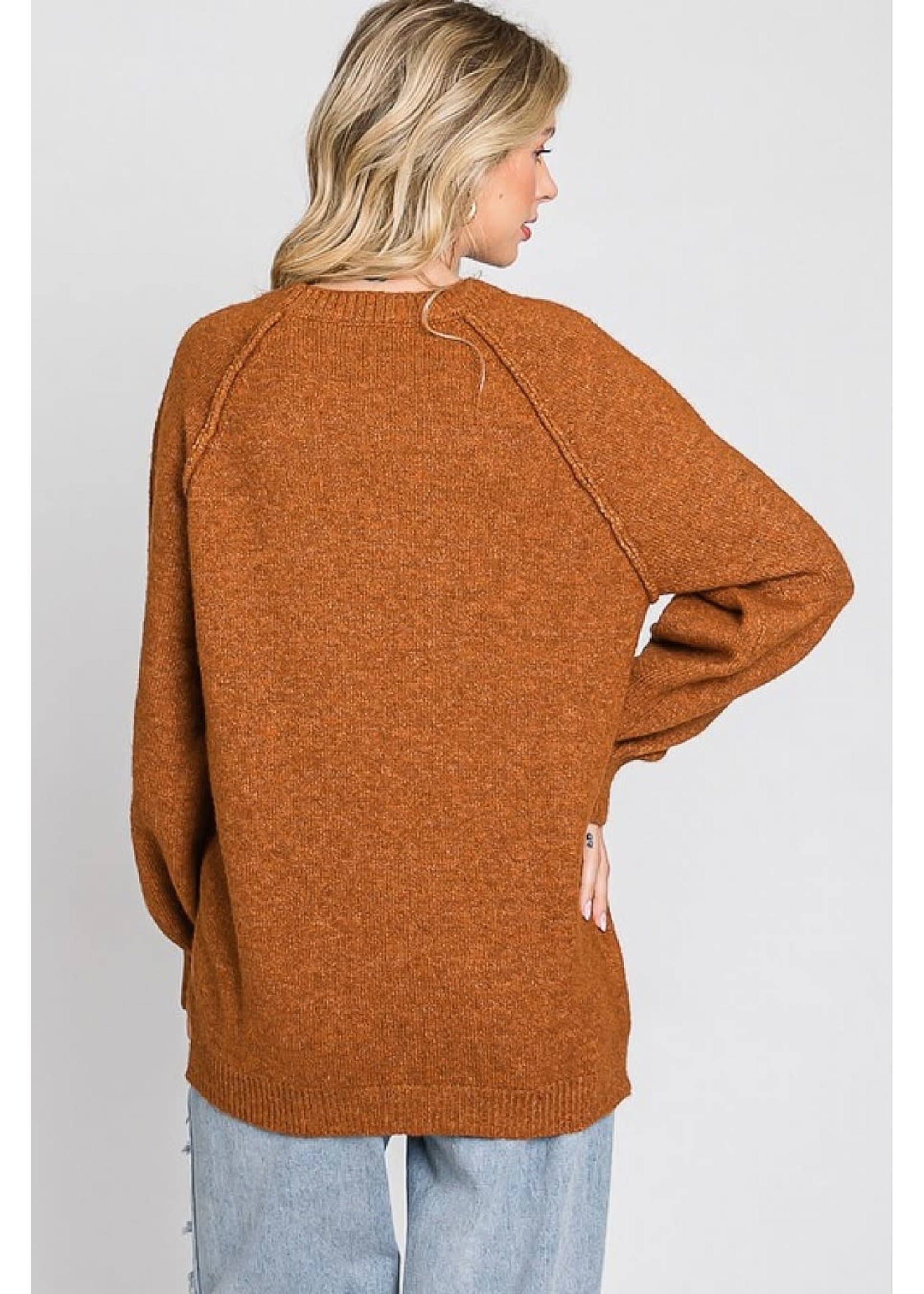 GeeGee Plus Size Long Reverse Stitch Sweater