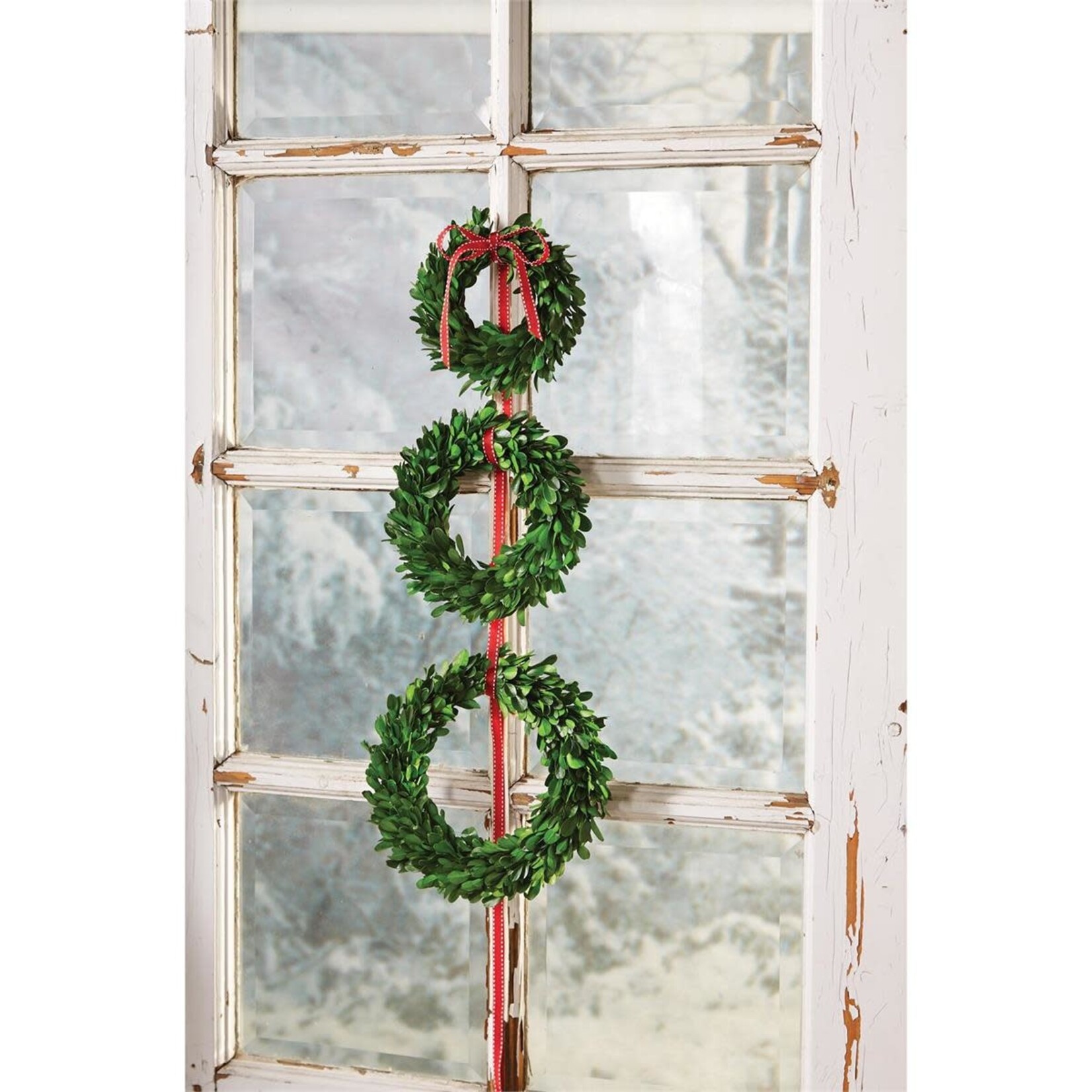 Mud Pie Medium Preserved Boxwood Wreath