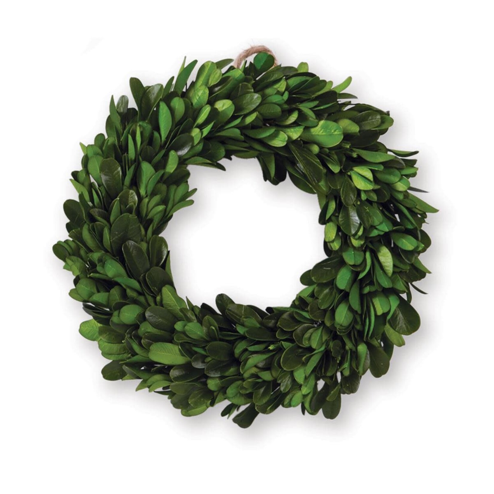 Mud Pie Medium Preserved Boxwood Wreath