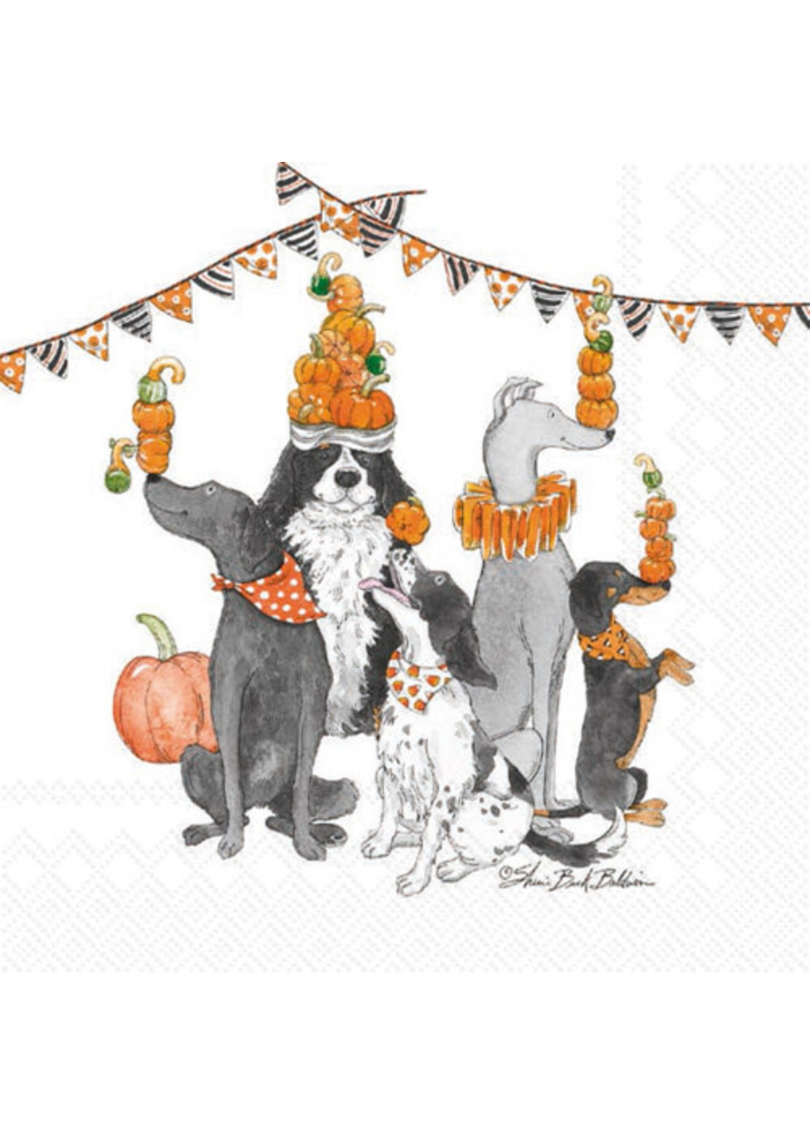 BOSTON INTERNATIONAL Halloween Party Dogs Cocktail Napkin