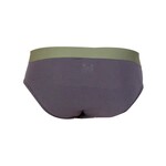 Wood Underwear Hip Brief in Iron