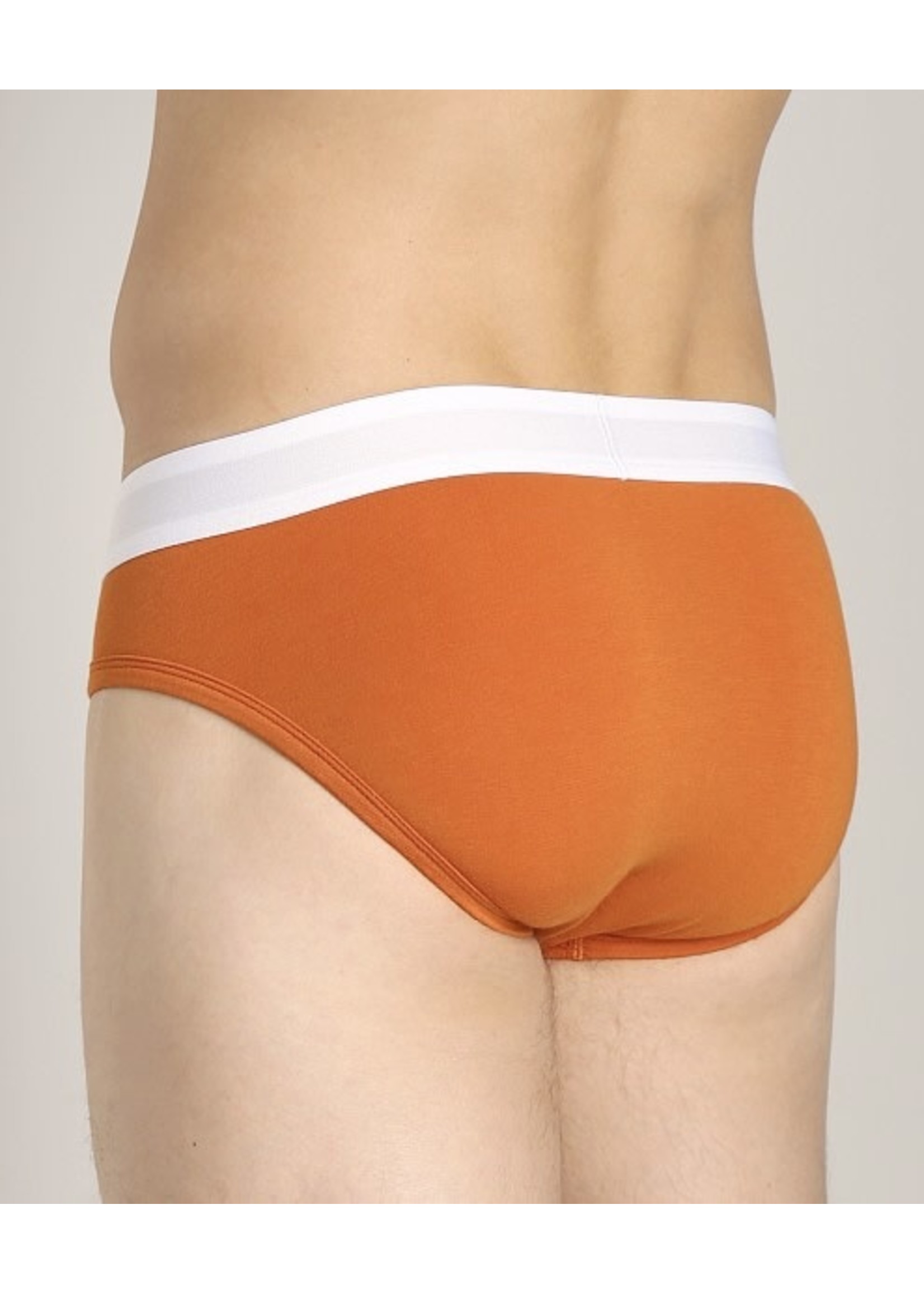 Wood Underwear Hip Brief in Wood Orange - Sage & Willow