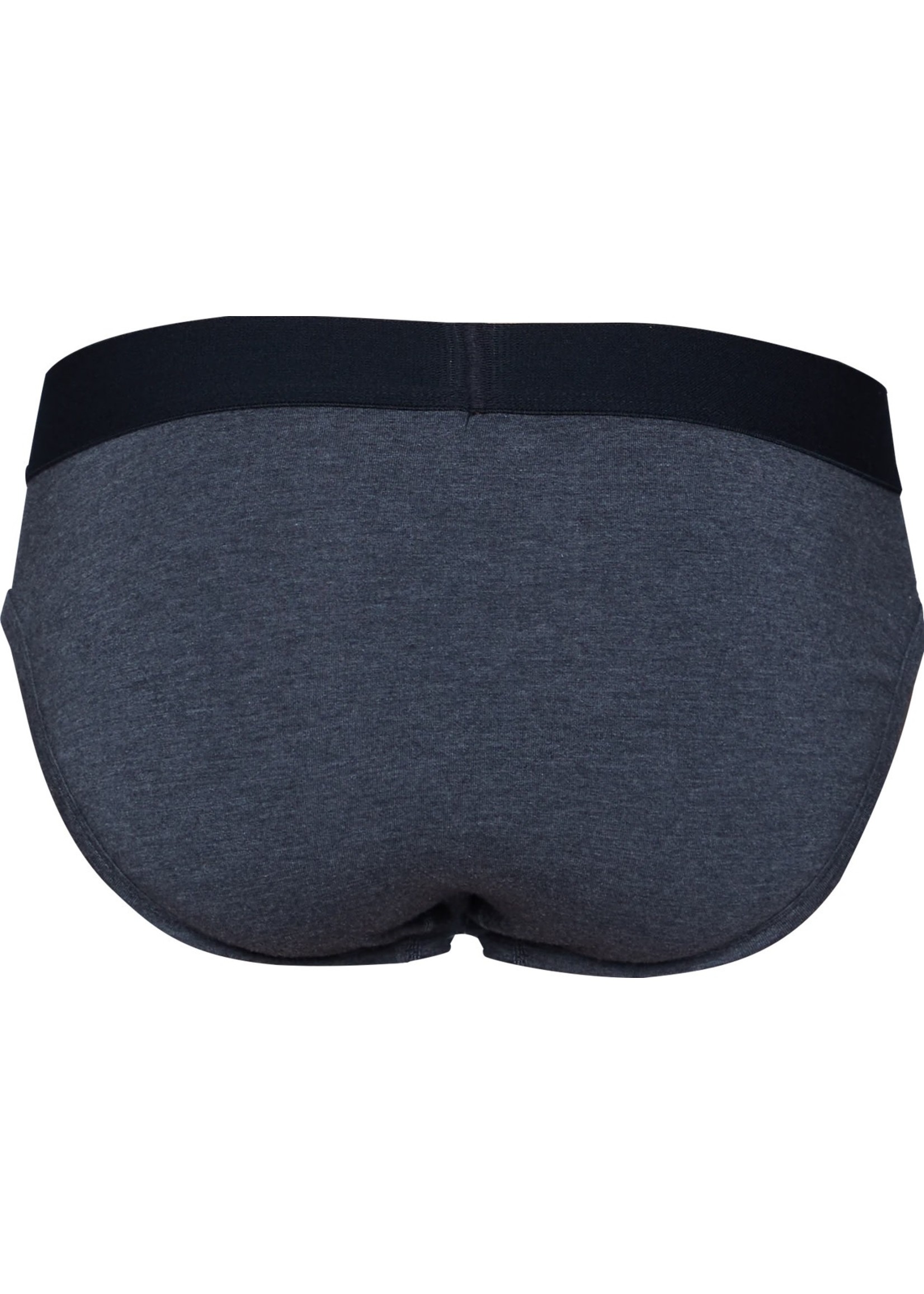 Wood Underwear Hip Brief in Charcoal Heather