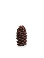 Zodax PINE CONE CANDLE/BROWN-LARGE