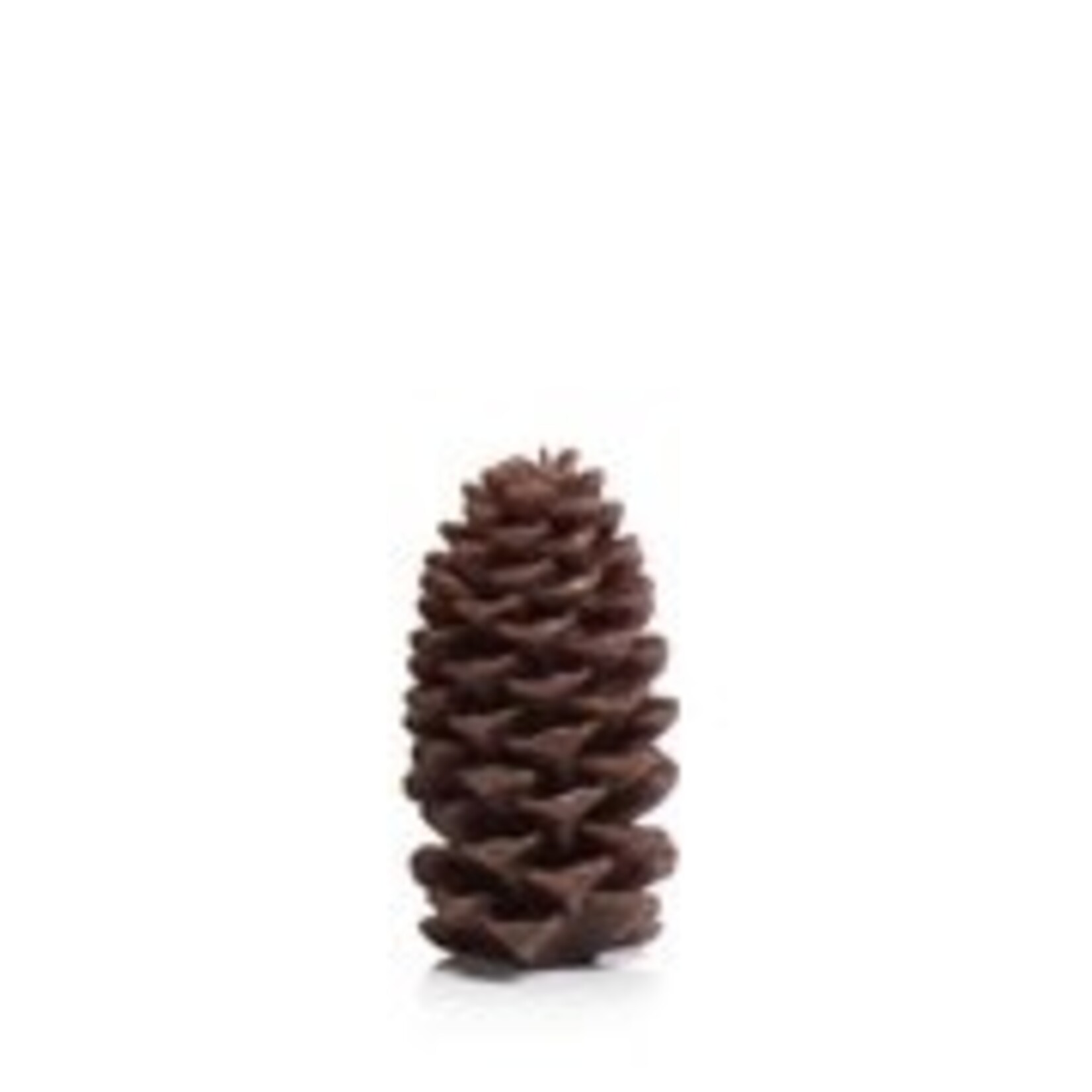 Zodax PINE CONE CANDLE/BROWN-LARGE