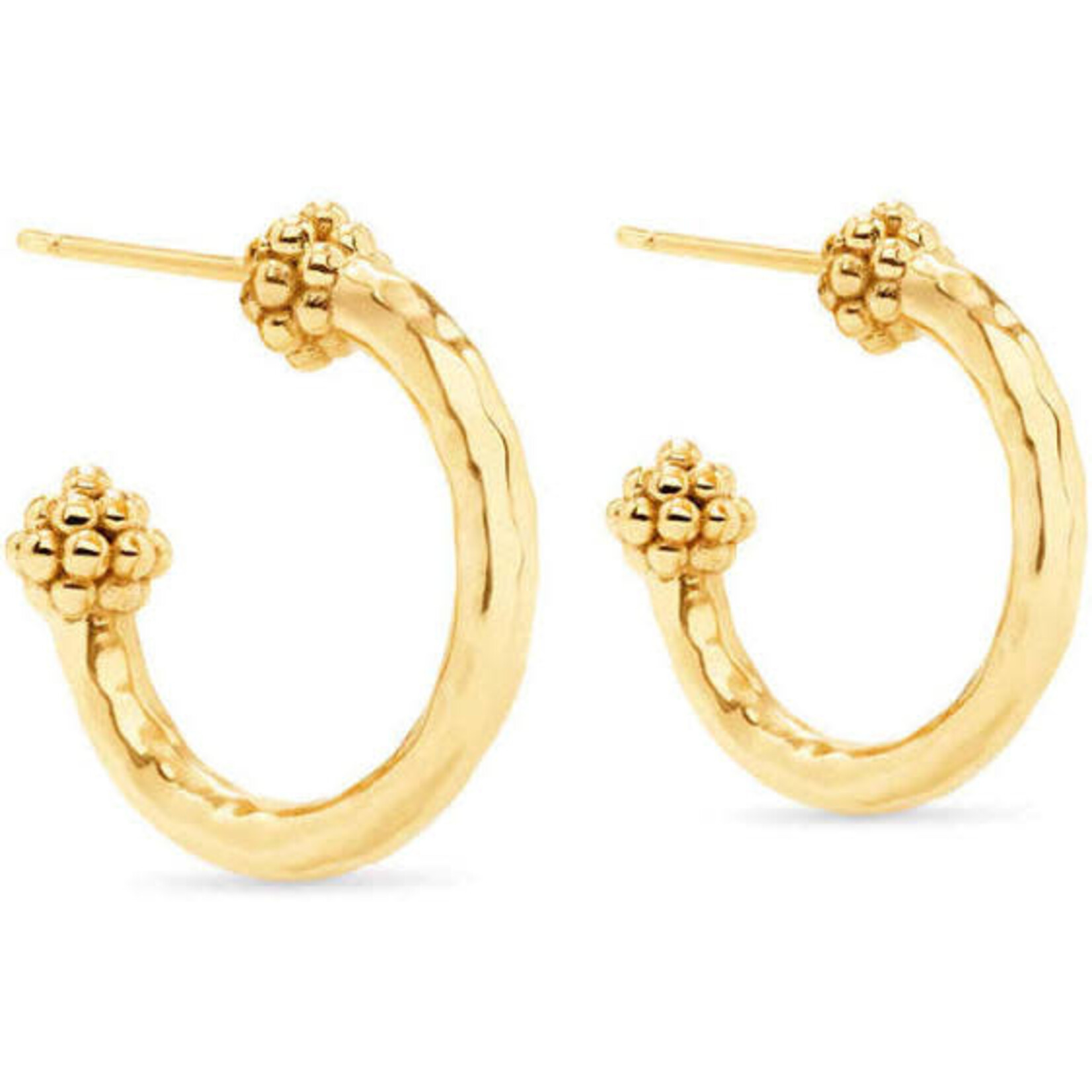 CAPUCINE DE WULF Small Berry Hoop Earrings in Hammered Gold
