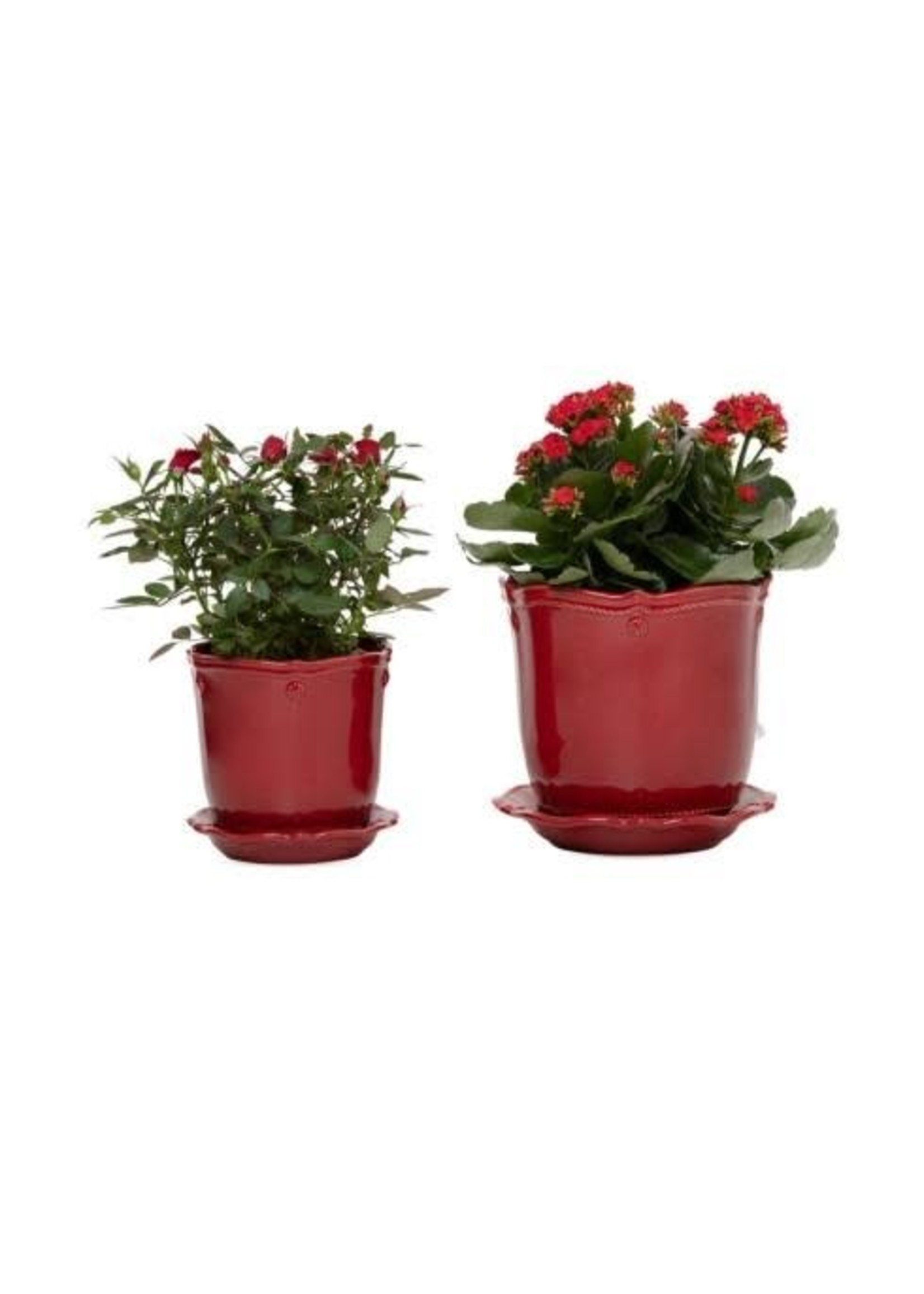 Juliska Berry & Thread 5in Planter & Saucer - Ruby