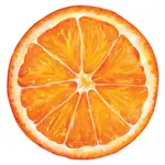 Hester & Cook Die Cut Orange Slice Placemat - 12 Sheets