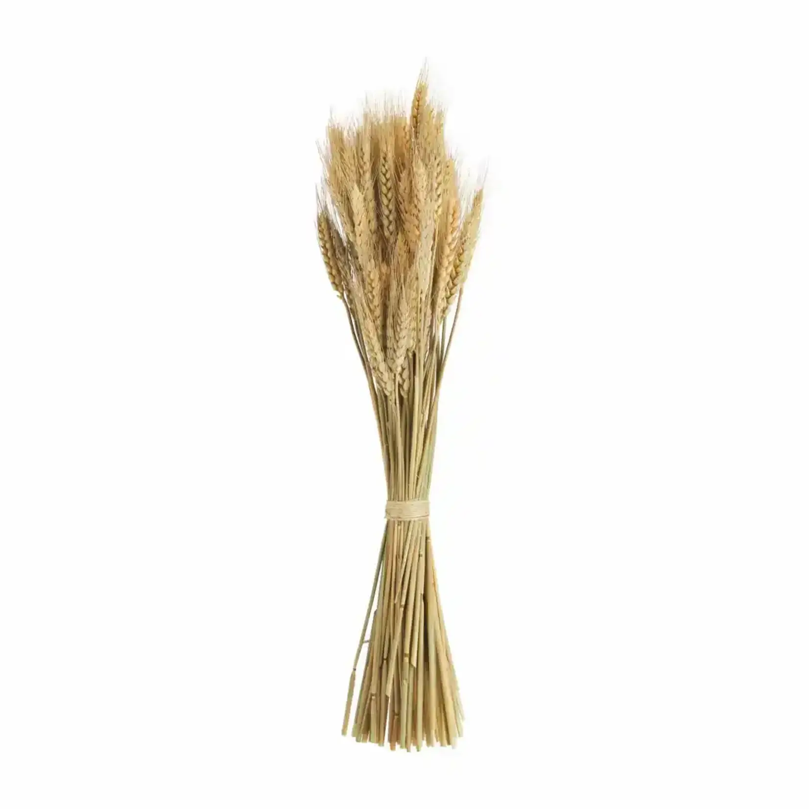 Mud Pie Tall Wheat Bundle