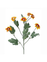 Park Hill Chrysanthemum Stem