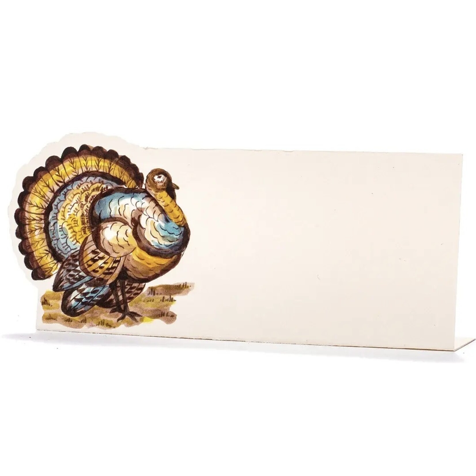 Hester & Cook Thanksgiving Turkey Place Card - Pack of 12
