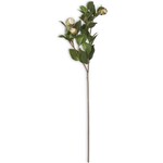 28 Inch White 5 Bud Peony Stem