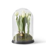 16 Inch White Tulip in Glass Cloche