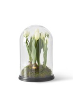 16 Inch White Tulip in Glass Cloche