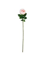 24 Inch Pink Real Touch Austin Rose Stem
