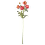 26 Inch Pink Ranunculus Spray