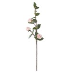 30 Inch Pink Camellia Stem