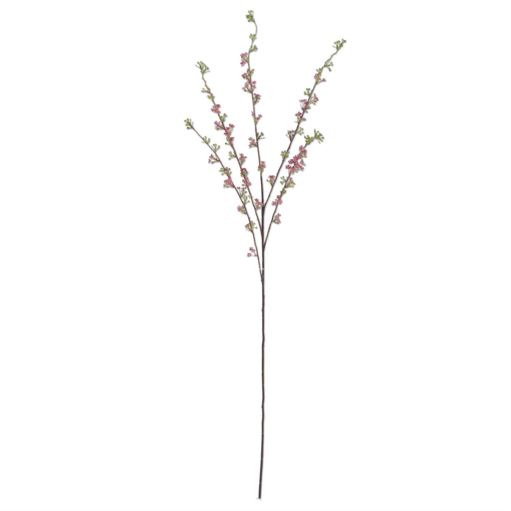 46 Inch Pink Hoary Willow Spray