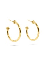 CAPUCINE DE WULF Berry Medium Hoop Earrings - Gold