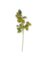 31 Inch Green Speckled Pear Stem