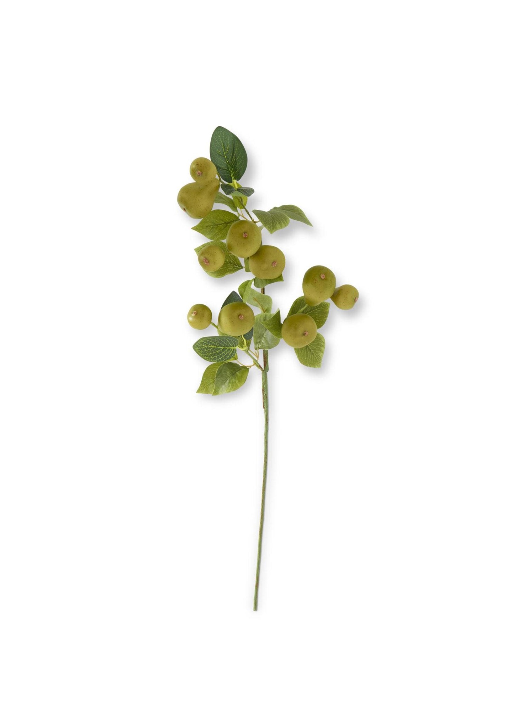 31 Inch Green Speckled Pear Stem