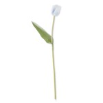 26.75 Inch Blue Silk w/Real Touch Single Tulip Stem
