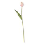 26.75 Inch Mauve Silk w/Real Touch Single Tulip Stem