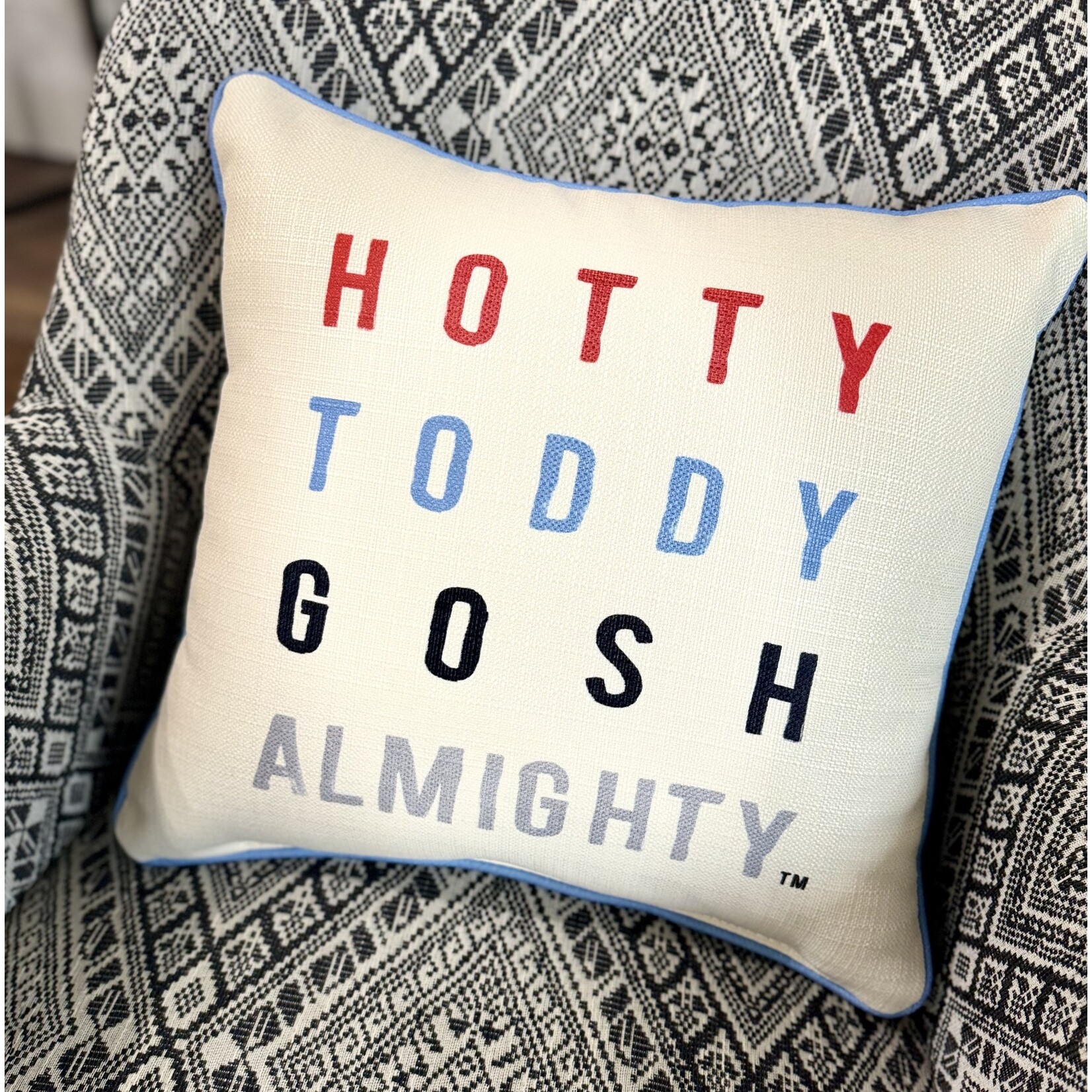 POSTER HOTTY TODDY GOSH ALMIGHTY PILLOW + PIPING