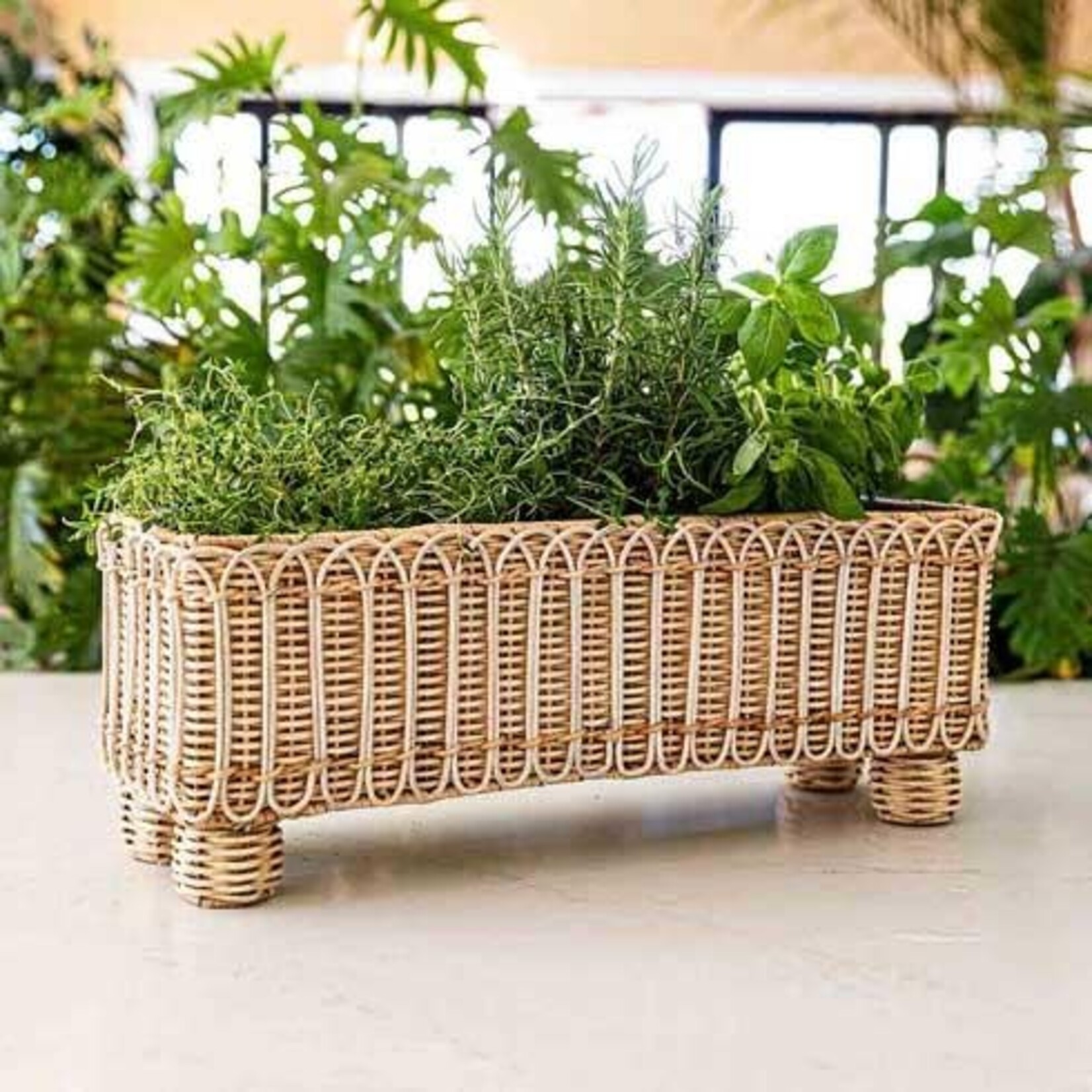 Juliska Provence Rattan Rectangular Planter - Whitewash