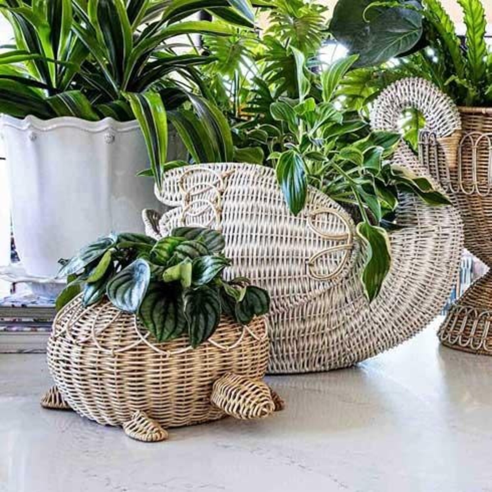 Juliska Provence Rattan Turtle Bowl - Whitewash