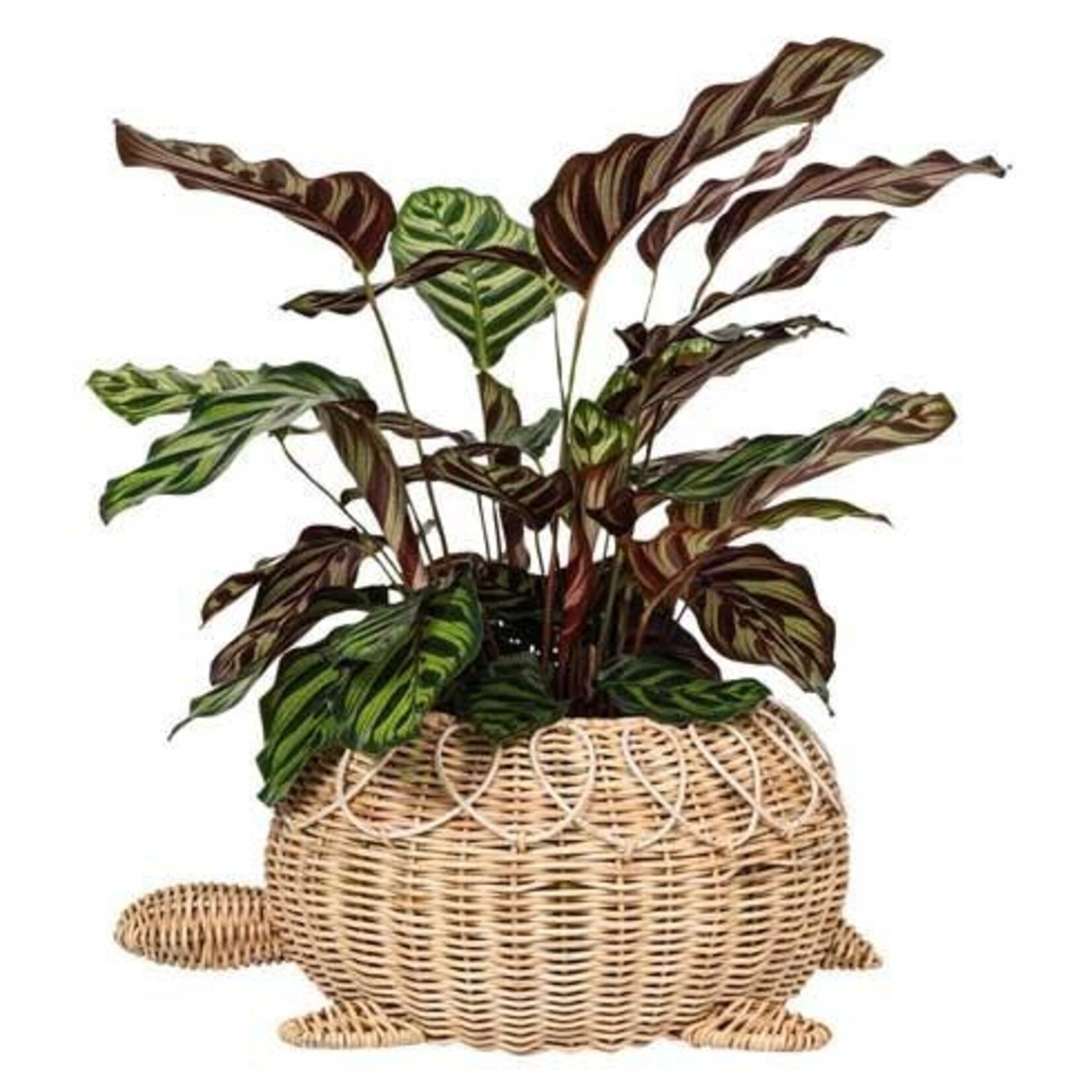 Juliska Provence Rattan Turtle Bowl - Whitewash