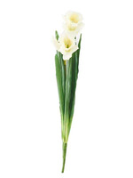 18 Inch White Real Touch Daffodil w/Double Bloom & Bud