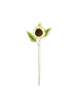 28 Inch Single Cream Sunflower Stem