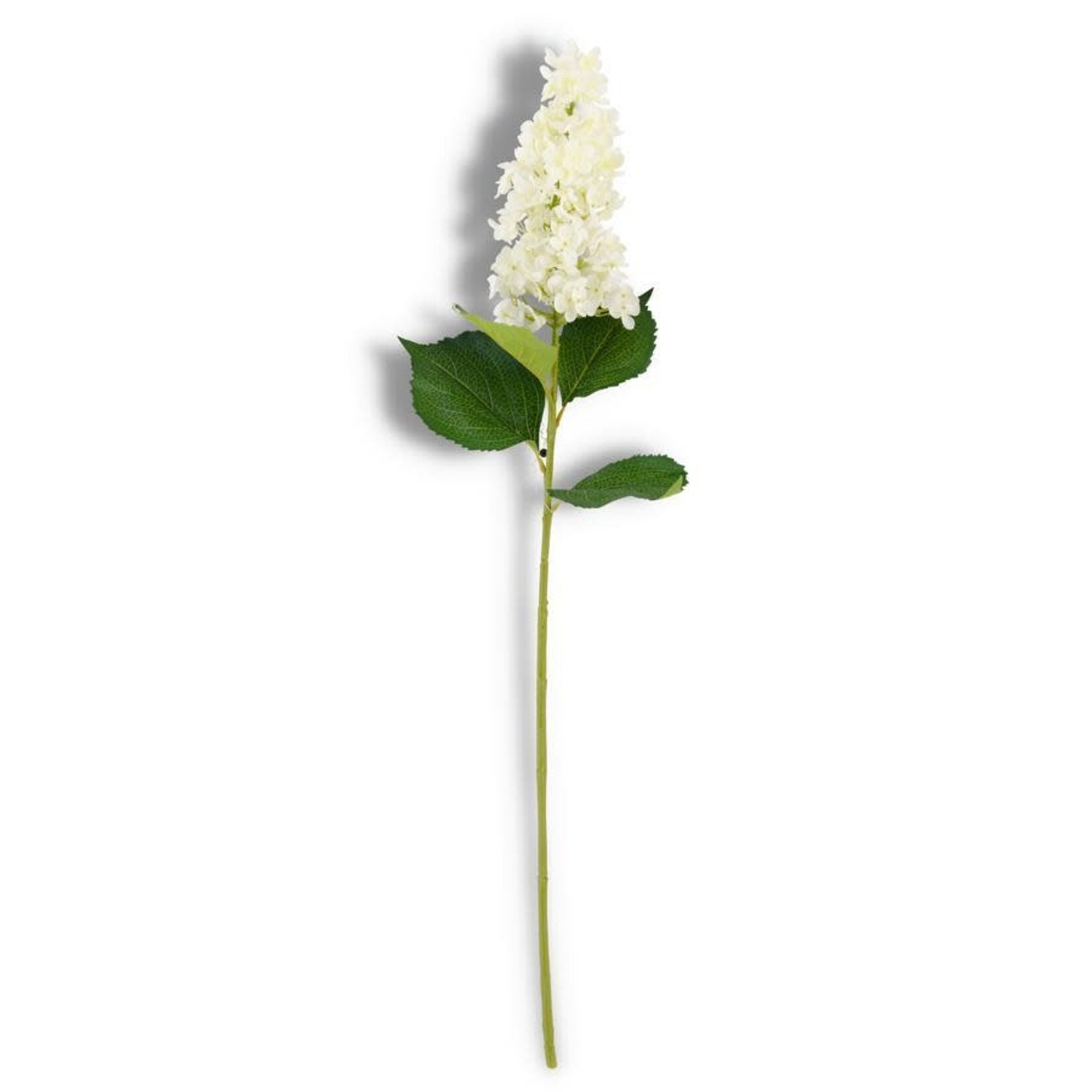 38.5 Inch White Cone Hydrangea Stem