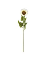 42 Inch Single Large Cream Sunflower Stem