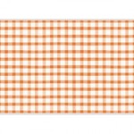 Hester & Cook Orange Painted Check Placemat - 24 Sheets