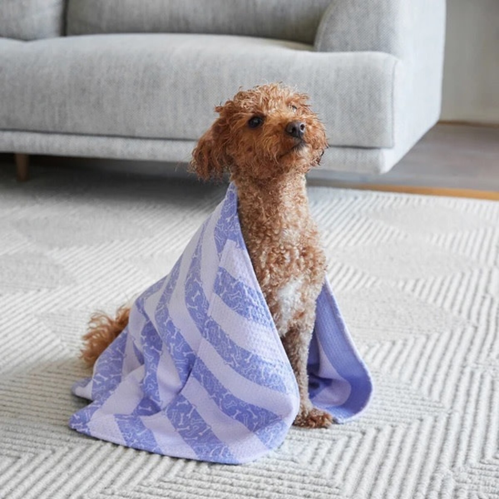 Dock & Bay PAWFECT PURPLE - DOG TOWEL