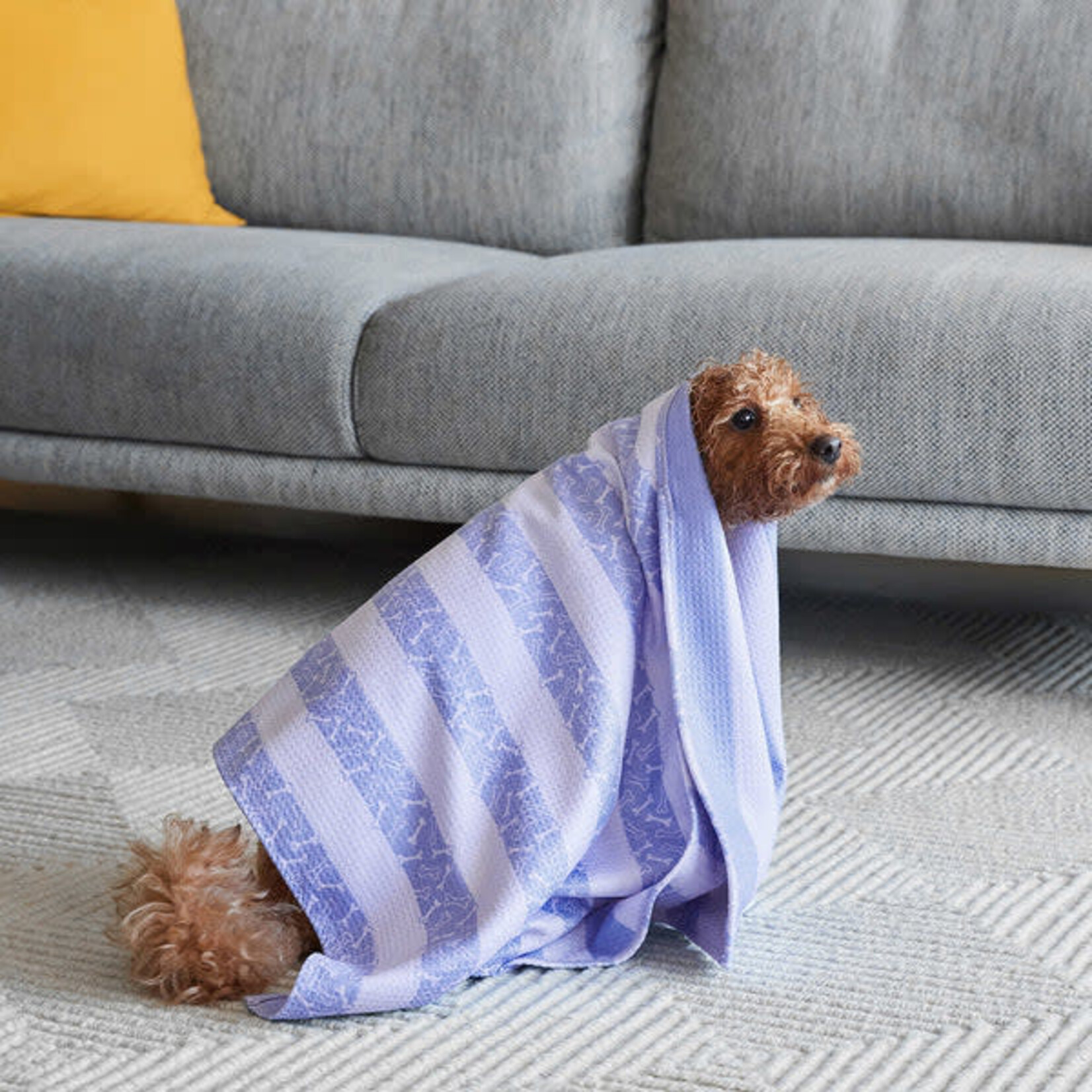 Dock & Bay PAWFECT PURPLE - DOG TOWEL