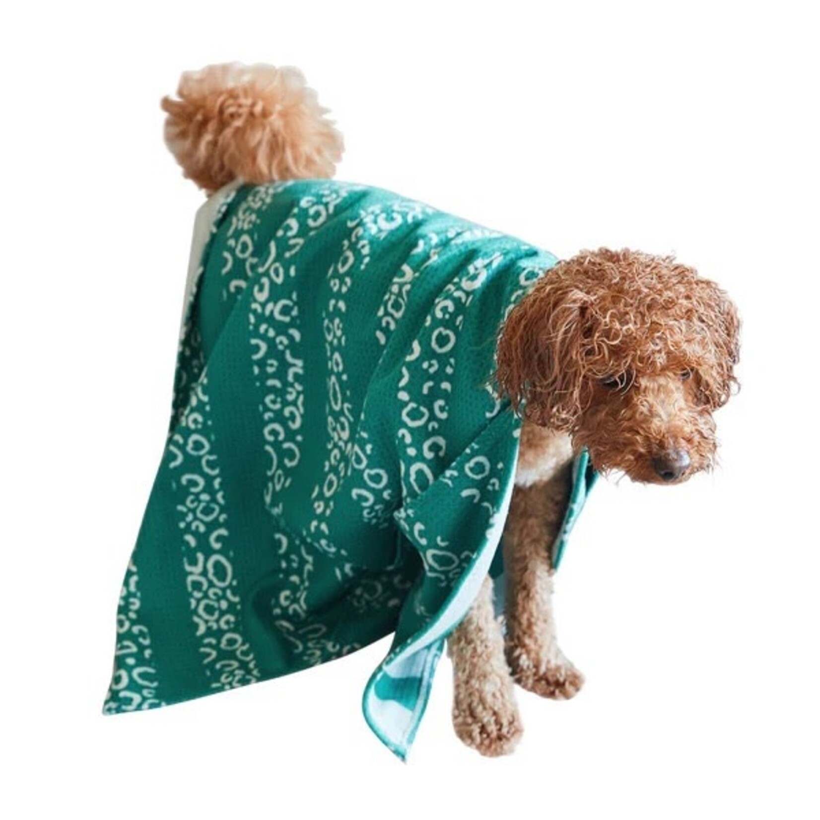 Dock & Bay WOOFS GO WILD - DOG TOWEL