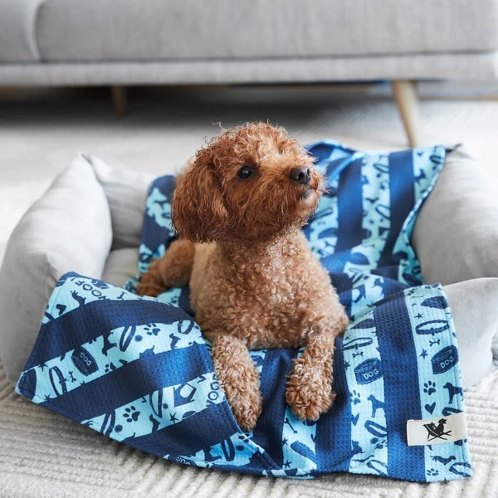 Dock & Bay BARK BLUE - DOG TOWEL