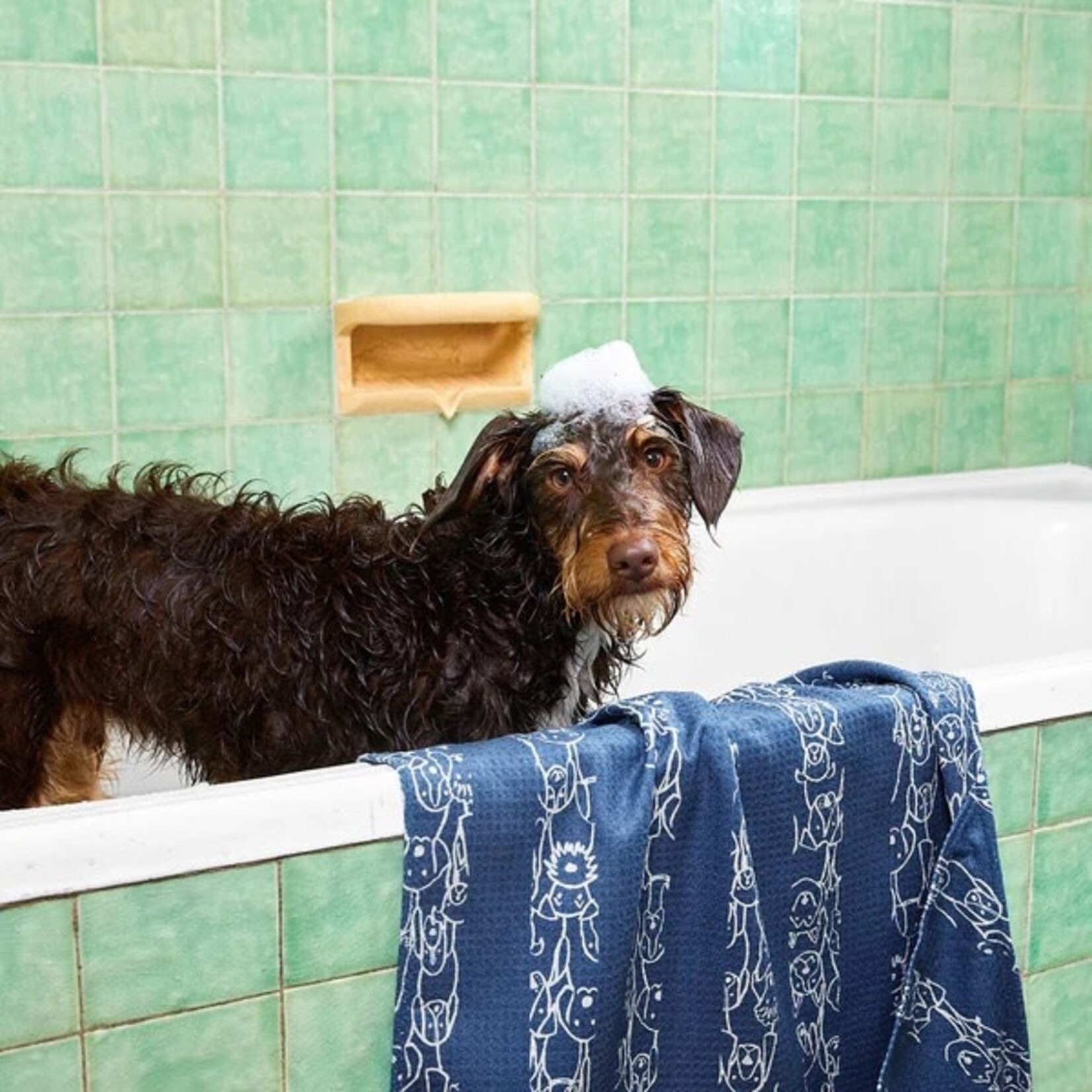 Dock & Bay PUPPY PARTY - DOG TOWEL