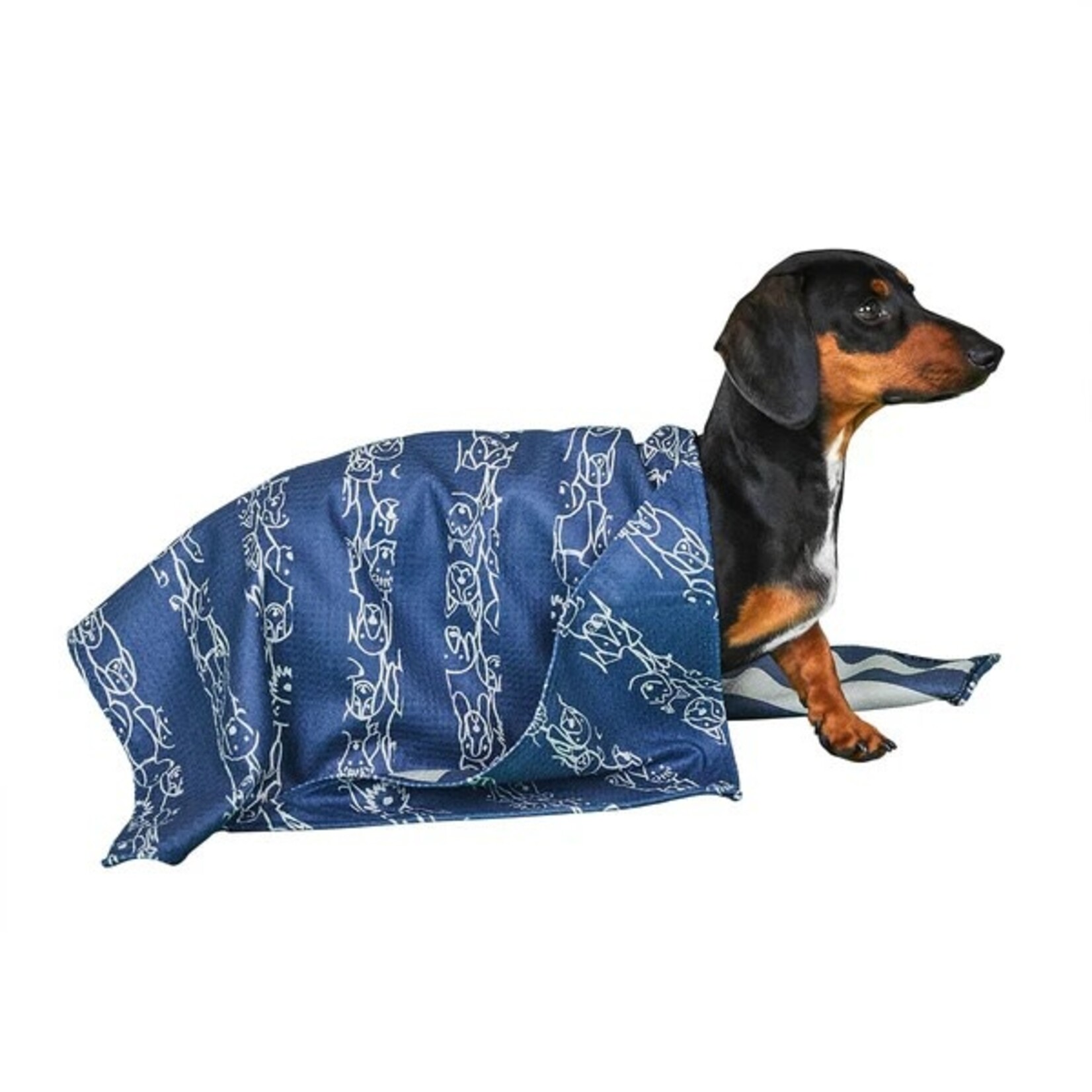 Dock & Bay PUPPY PARTY - DOG TOWEL