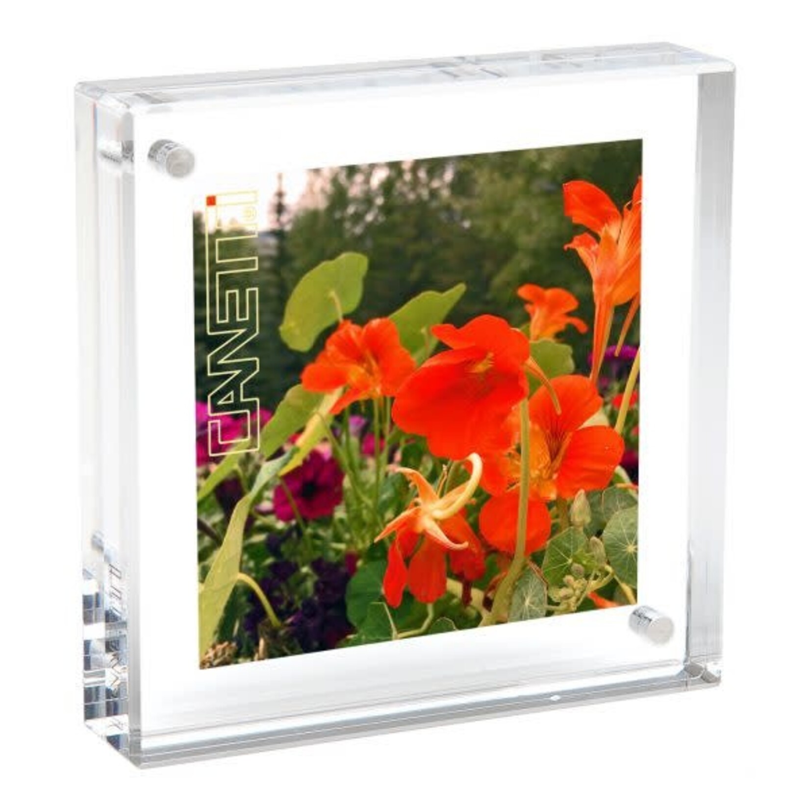 Canetti Design Group 8X8" CLEAR ORIGINAL MAGNET FRAME