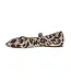 Chinese Laundry CHINESE LAUNDRY Avery Women's Flat