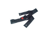 Seat Belt