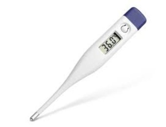 Digital Oral Thermometer