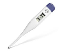 Digital Oral Thermometer